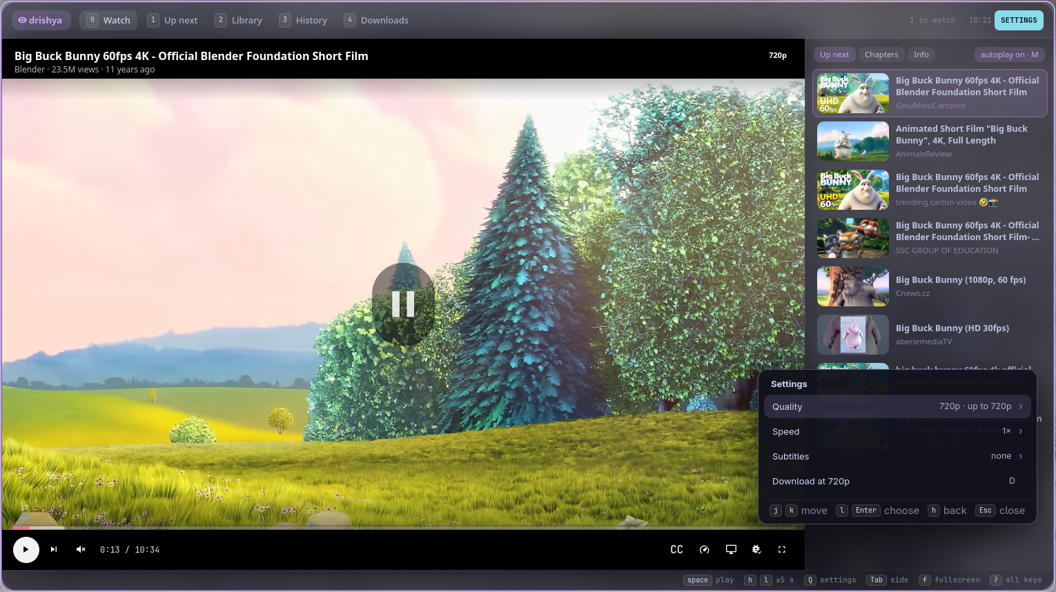 The settings menu over the video: quality, speed, subtitles